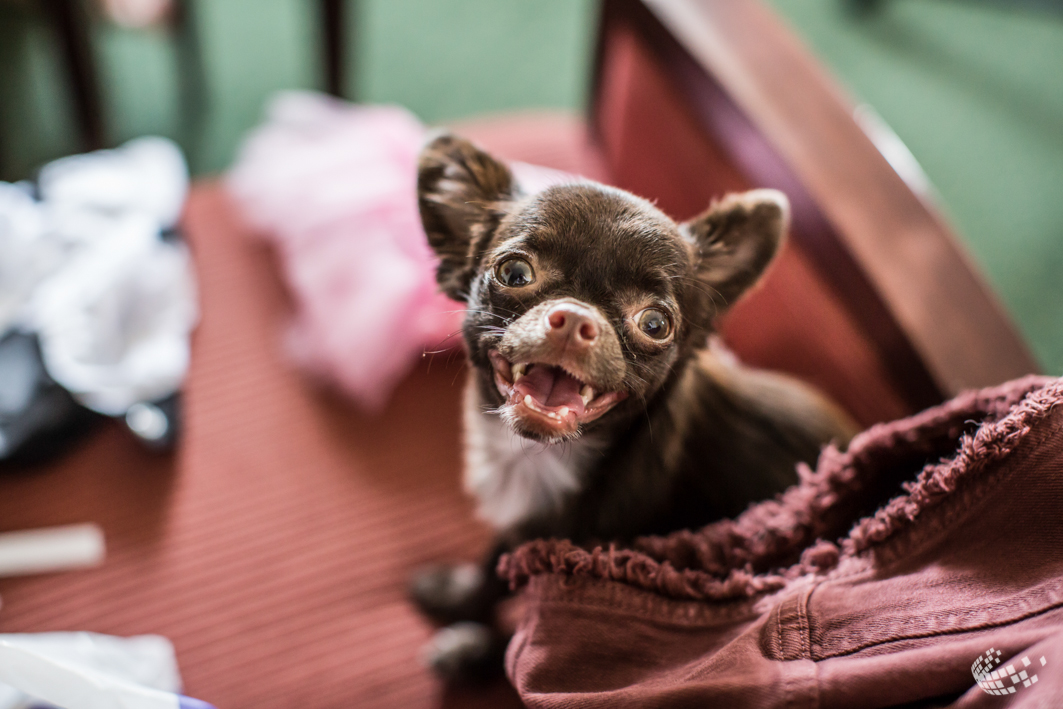 Hochzeit+Burg+Crass-1005
